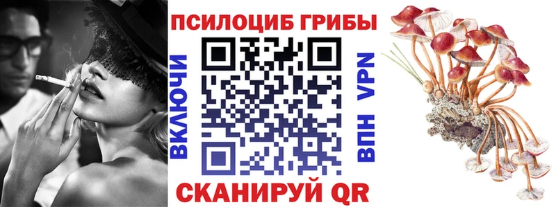 магазин продажи Сатка omg как войти Псилоцибиновые грибы Magic Shrooms